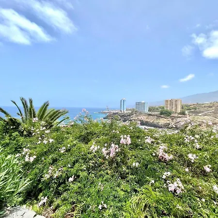 Appartement Estandar Un Con Estupenda Vista Y Piscina, Playa Roques Los Realejos